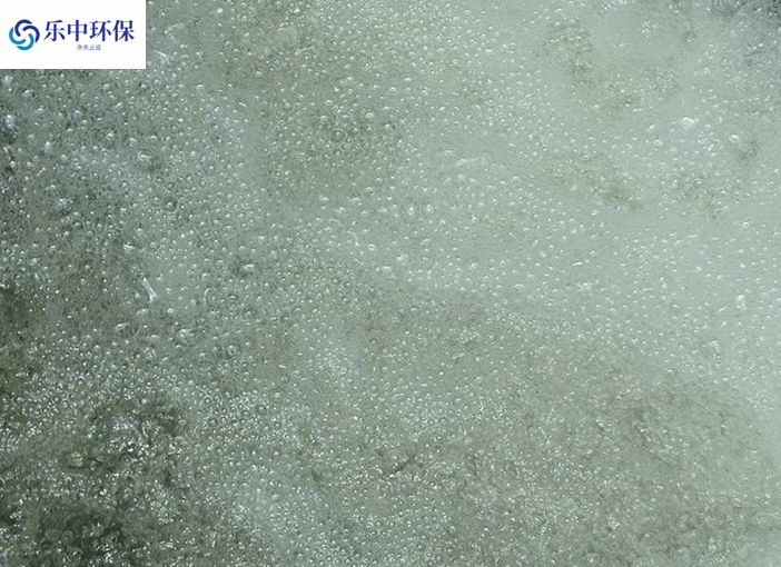 溶氣氣浮機(jī)泡沫多什么原因？如何解決？
