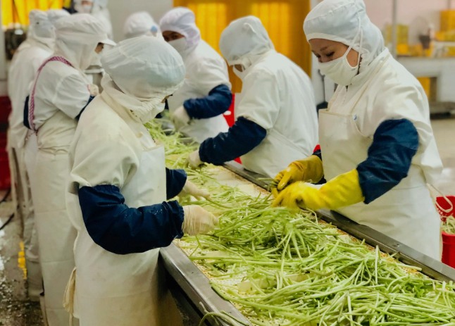 三種食品污水處理設(shè)備工藝流程，看看哪種適合您？